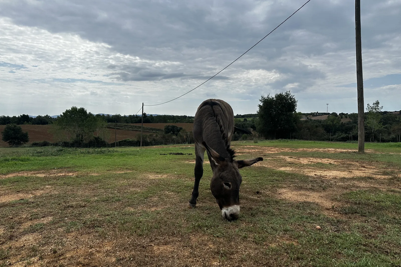 Els camins de la finca